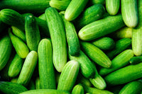 Cucumber